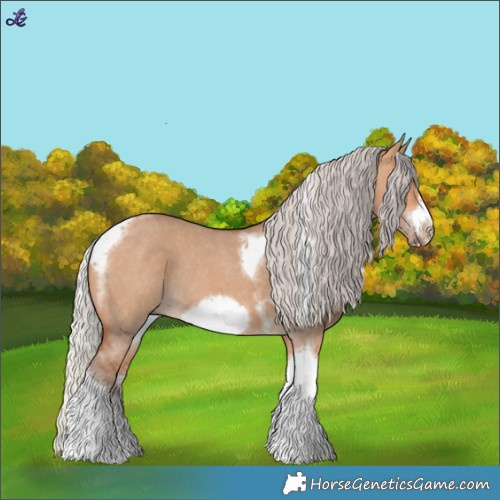 Horse Color:Silver Bay Dun Sabino Tobiano Frame Rabicano 