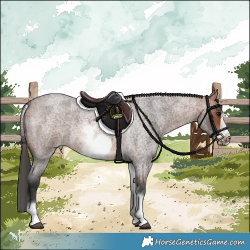 Horse Color:White Spotted Bay Roan Frame 