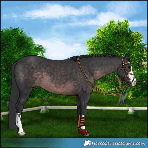 Horse Color:Platinum Brown 