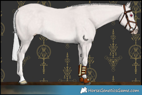 Horse Color:Platinum Chocolate Silver Perlino