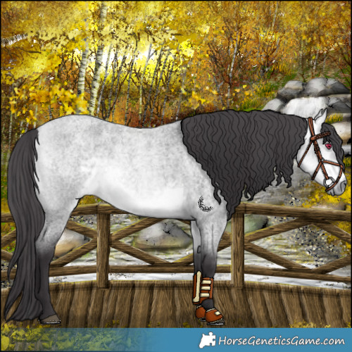 Horse Color:Platinum Buckskin Chinchilla Roan 