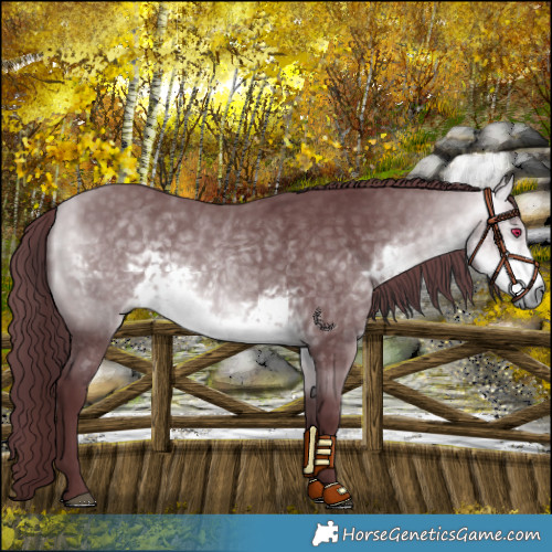 Horse Color:Platinum Chocolate Buckskin Chinchilla 