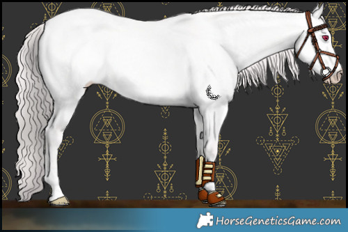 Horse Color:Platinum Chocolate Perlino Dun