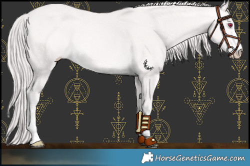 Horse Color:Platinum Perlino Rabicano 