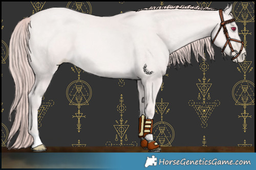 Horse Color:Platinum Chocolate Buckskin Pearl 