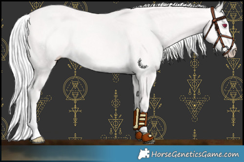 Horse Color:Platinum Silver Perlino 