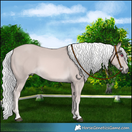 Horse Color:Platinum Palomino 