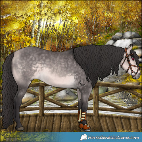 Horse Color:Platinum Buckskin