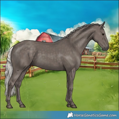 Horse Color:Silver Smoky Black 