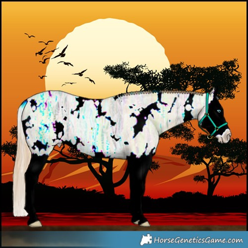 Horse Color:White Spotted Smoky Grullo Ice Pearl Splash 