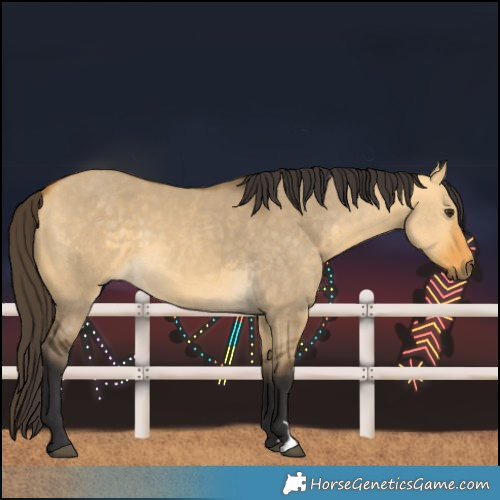 Horse Color:Buckskin Dun 