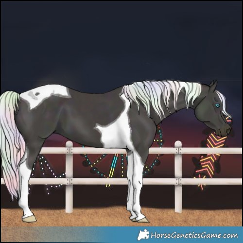 Horse Color:Nacre Midnight Cremello Tobiano 