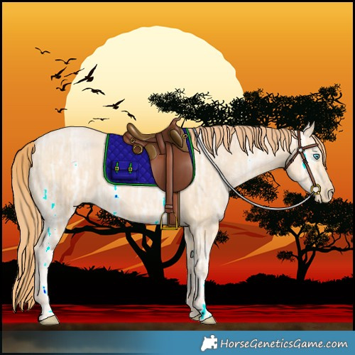 Horse Color:Buckskin Ice Pearl
