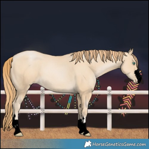 Horse Color:Void Smoky Black Pearl 