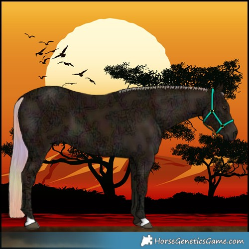 Horse Color:Nacre Midnight Palomino Ice 