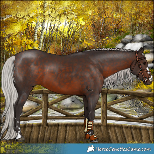 Horse Color:Silver Brown