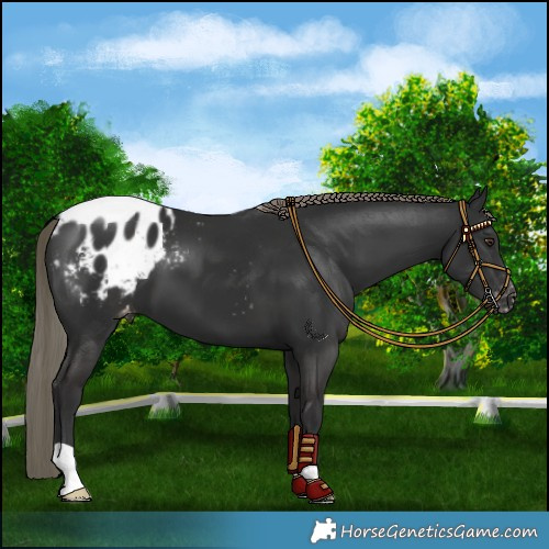 Horse Color:Liver Chestnut Mushroom Blanket 