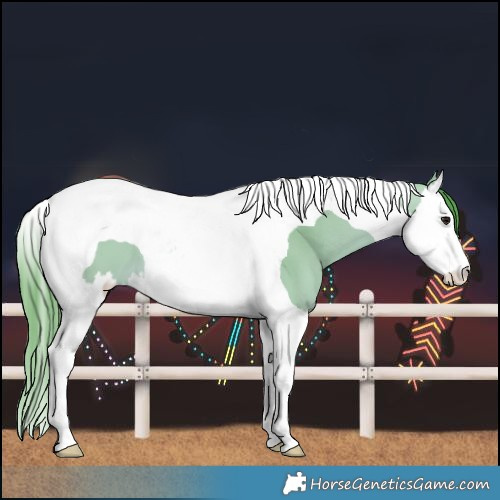 Horse Color:Watercolor Bay Dun Splash Tobiano 