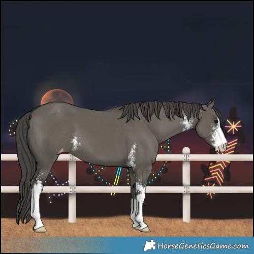 Horse Color:Grullo Sabino Varnish