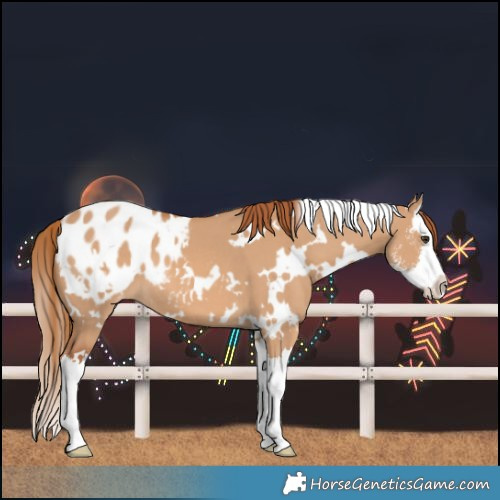 Horse Color:White Spotted Red Dun Sabino Splash Blanket 