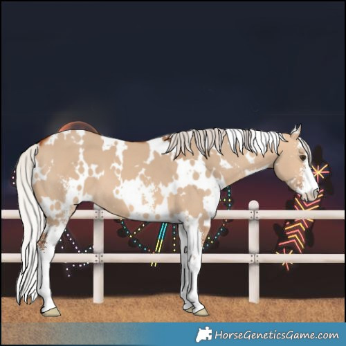 Horse Color:White Spotted Silver Bay Dun Sabino 