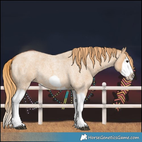 Horse Color:Unknown 