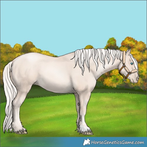 Horse Color:Gold Cream Champagne Pearl 