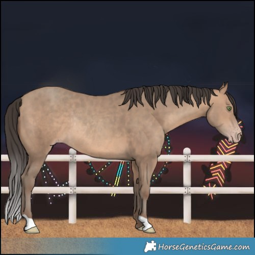 Horse Color:Sable Champagne Rabicano 
