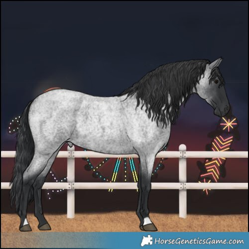 Horse Color:Blue Roan