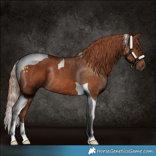 Horse Color:Chestnut Tobiano Rabicano 