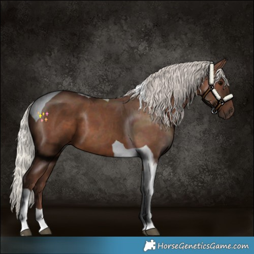 Horse Color:Silver Black Tobiano 