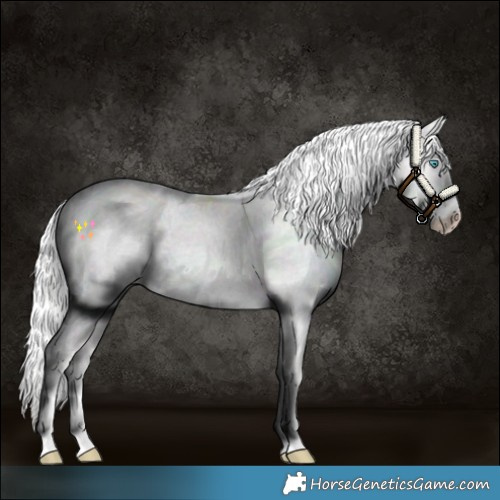 Horse Color:Cremello Roan 