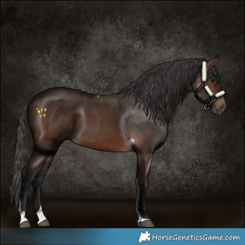 Horse Color:Brown Tobiano Rabicano 