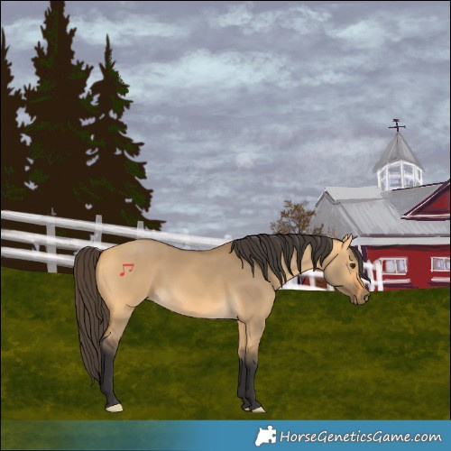 Horse Color:Buckskin Dun