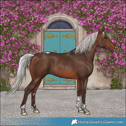 Horse Color:Silver Brown Tobiano 