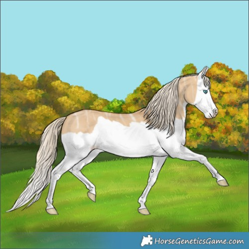 Horse Color:Palomino Ice Dun Splash 