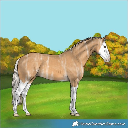 Horse Color:Palomino Ice Splash 