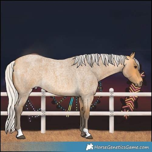 Horse Color:Silver Buckskin Roan
