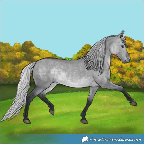 Horse Color:Silver Brown Chinchilla Dun 