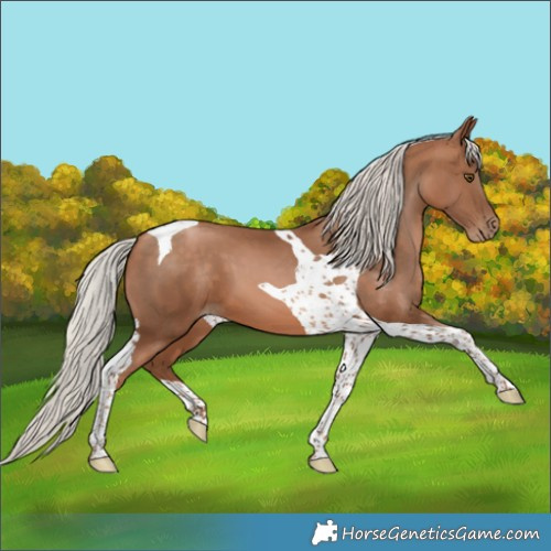 Horse Color:Silver Brown Pearl Tobiano 