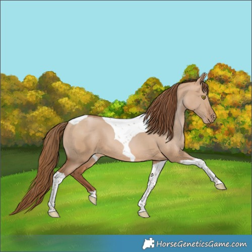 Horse Color:Brown Pearl Dun Tobiano