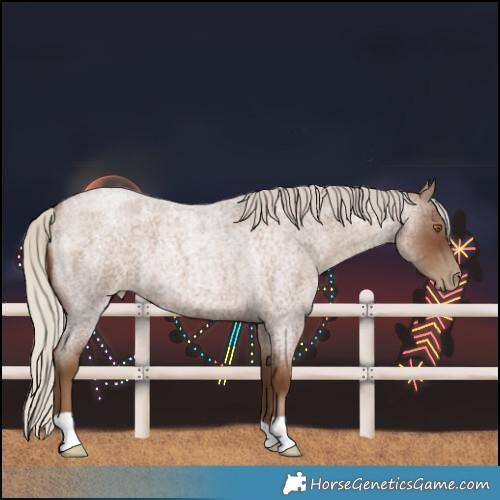 Horse Color:Gray Silver Blue Roan Pearl 
