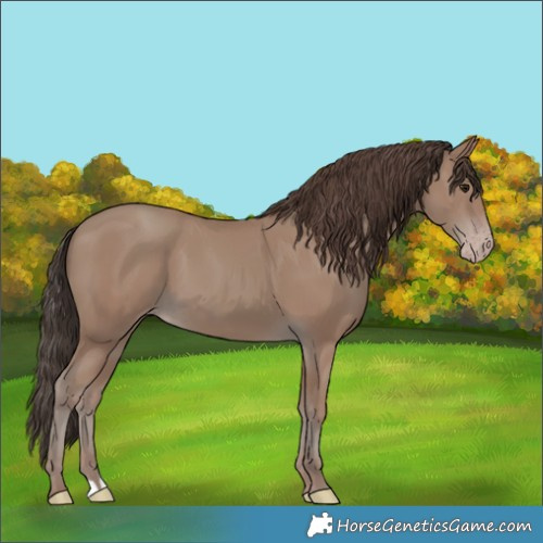 Horse Color:Classic Champagne 