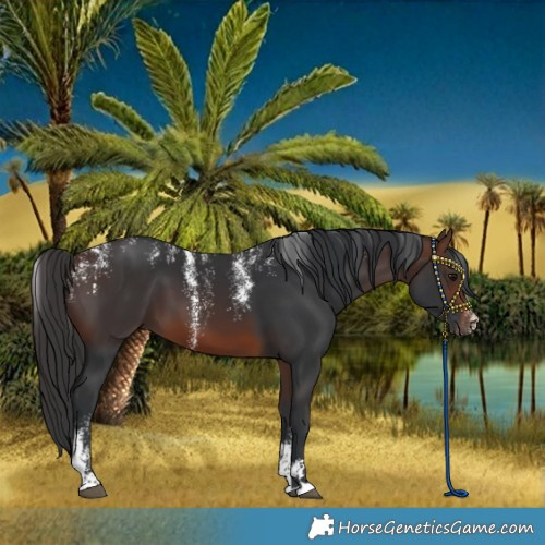 Horse Color:Powder White Brown 