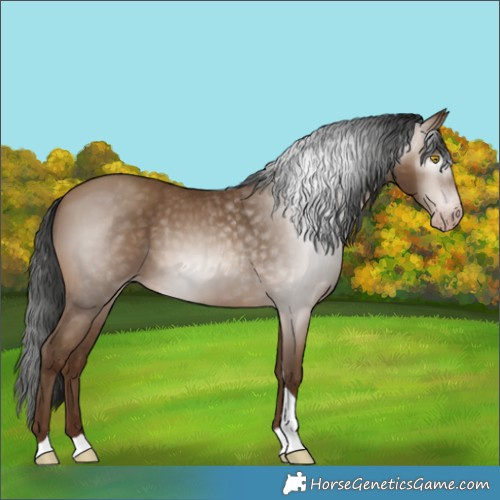 Horse Color:Gray Amber Champagne Tobiano
