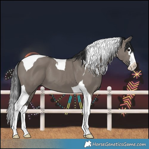 Horse Color:Grullo Splash Tobiano 