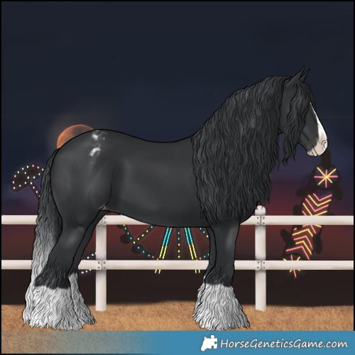 Horse Color:Black Splash Varnish 