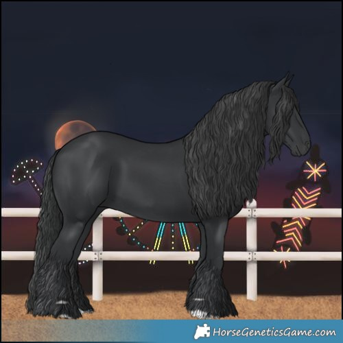 Horse Color:Black 