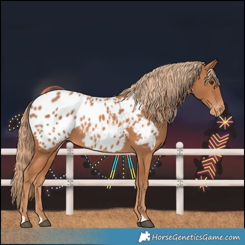 Horse Color:Chestnut Near Leopard 