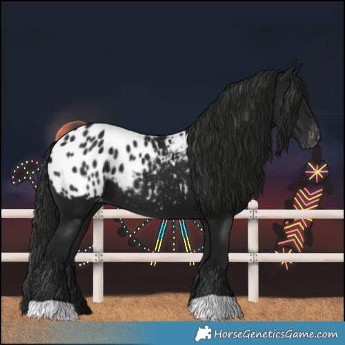 Horse Color:Gray Black Blanket 